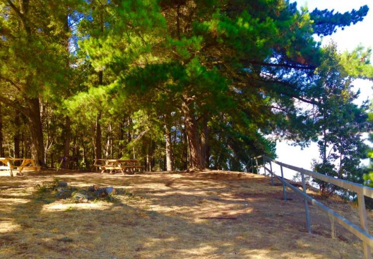 Fotografía 5 de Camping Bosque Hermoso en Las Cabras, Ohiggins