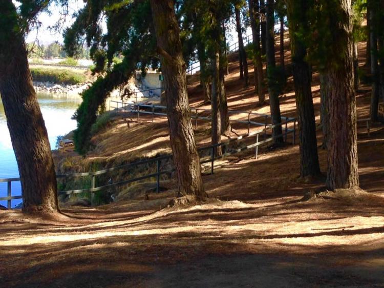 Fotografía 6 de Camping Bosque Hermoso en Las Cabras, Ohiggins