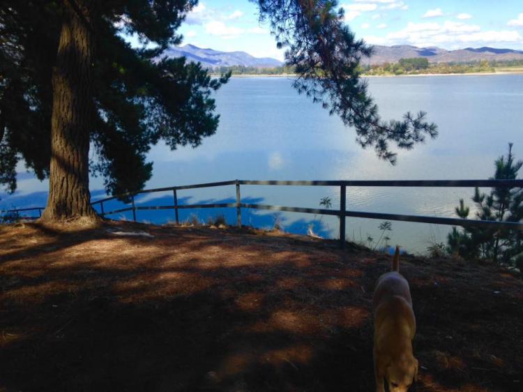 Fotografía 7 de Camping Bosque Hermoso en Las Cabras, Ohiggins