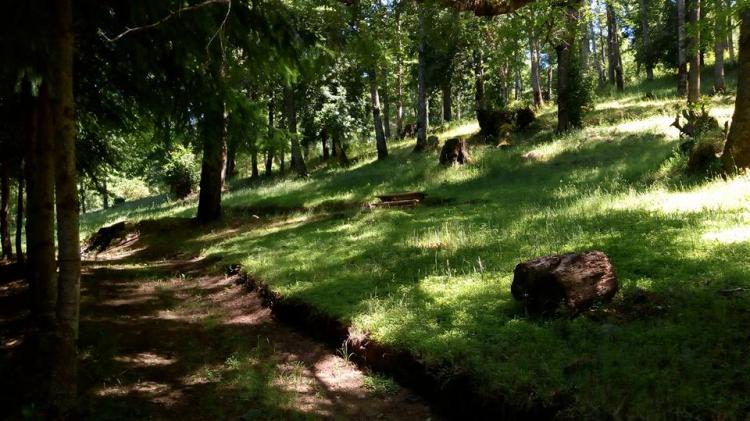 Fotografía 5 de Camping Llanqui Llanqui en Cunco, Araucania
