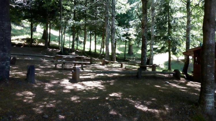 Fotografía 7 de Camping Llanqui Llanqui en Cunco, Araucania
