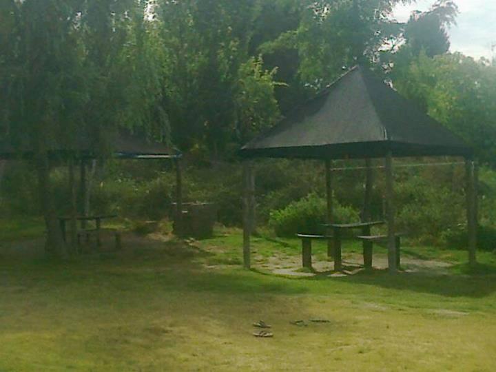 Fotografía 2 de Camping Los Pinos en Las Cabras, Ohiggins