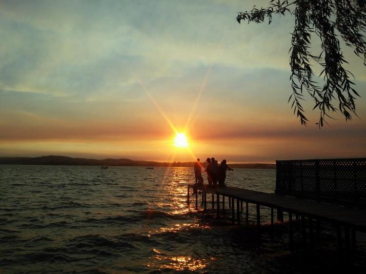 Fotografía 10 de Camping Los Pinos en Las Cabras, Ohiggins