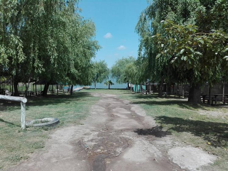 Fotografía 11 de Camping Los Pinos en Las Cabras, Ohiggins