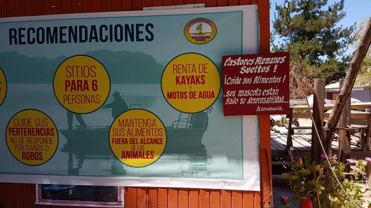 Fotografía 12 de Camping Tropical Lake en Las Cabras, Ohiggins