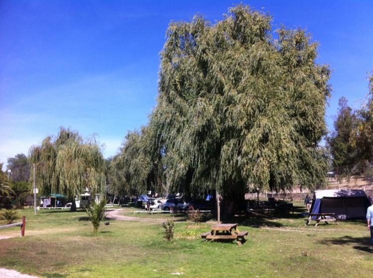 Fotografía 6 de Camping Las Palmas de Rapel en Las Cabras, Ohiggins
