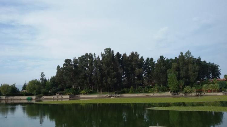 Fotografía 13 de Camping Las Palmas de Rapel en Las Cabras, Ohiggins