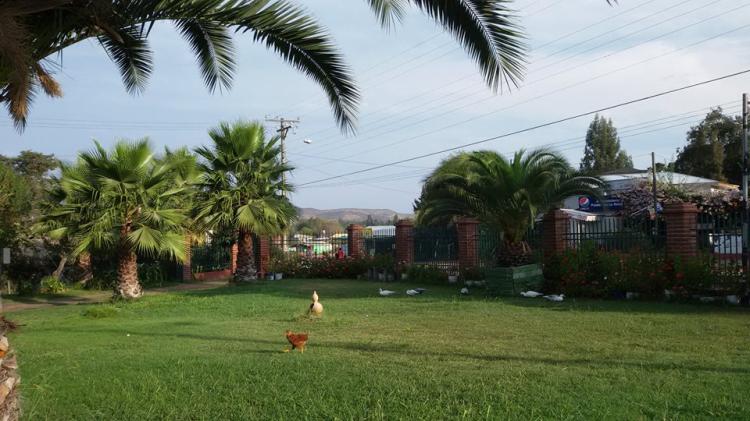 Fotografía 15 de Camping Las Palmas de Rapel en Las Cabras, Ohiggins