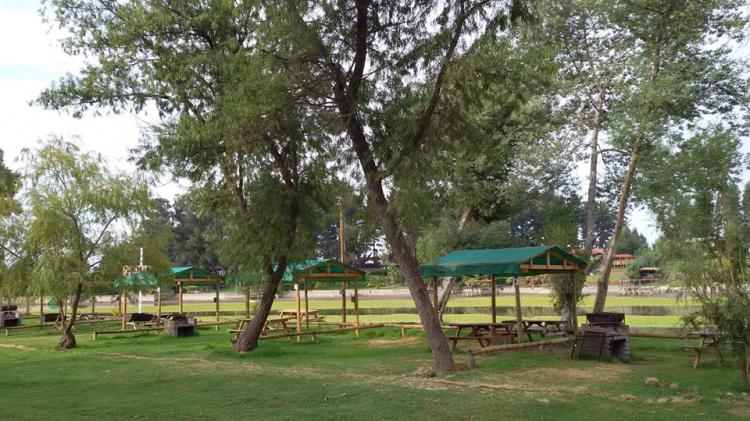 Fotografía 17 de Camping Las Palmas de Rapel en Las Cabras, Ohiggins