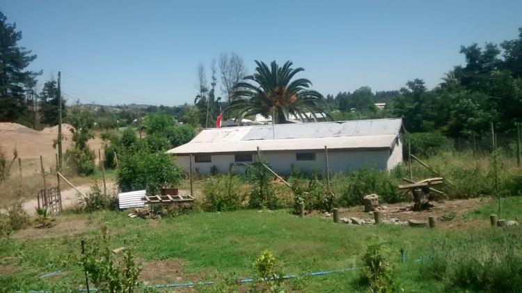 Fotografía 17 de Camping Ensueño II en Las Cabras, Ohiggins