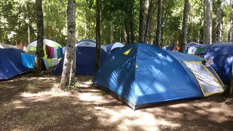 Fotografía 4 de Camping Los Copihues en Panguipulli, Los Rios
