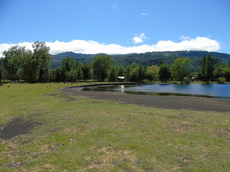 Fotografía 2 de Camping Playa Pucura en Panguipulli, Los Rios