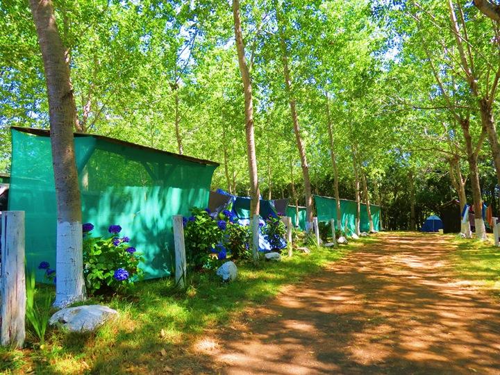 Fotografía 6 de Camping Cordillera en Panguipulli, Los Rios