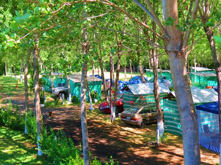 Fotografía 7 de Camping Cordillera en Panguipulli, Los Rios