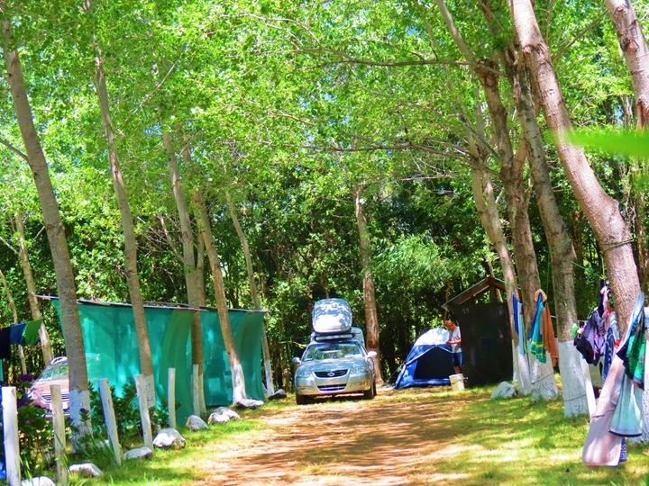 Fotografía 10 de Camping Cordillera en Panguipulli, Los Rios