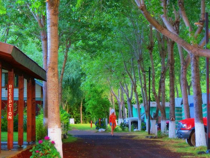 Camping Cordillera en Panguipulli, Los Rios