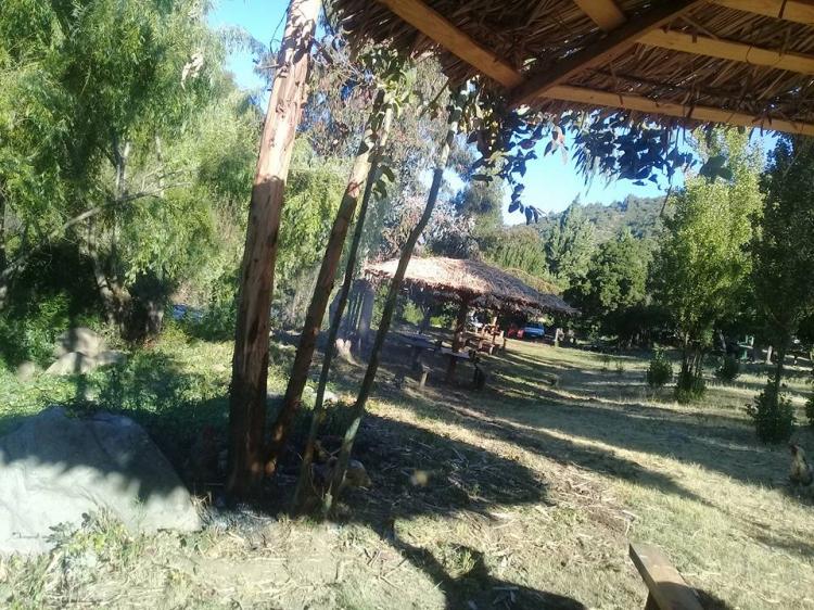 Fotografía 12 de Camping El Paso Monte Oscuro en Curico, Maule