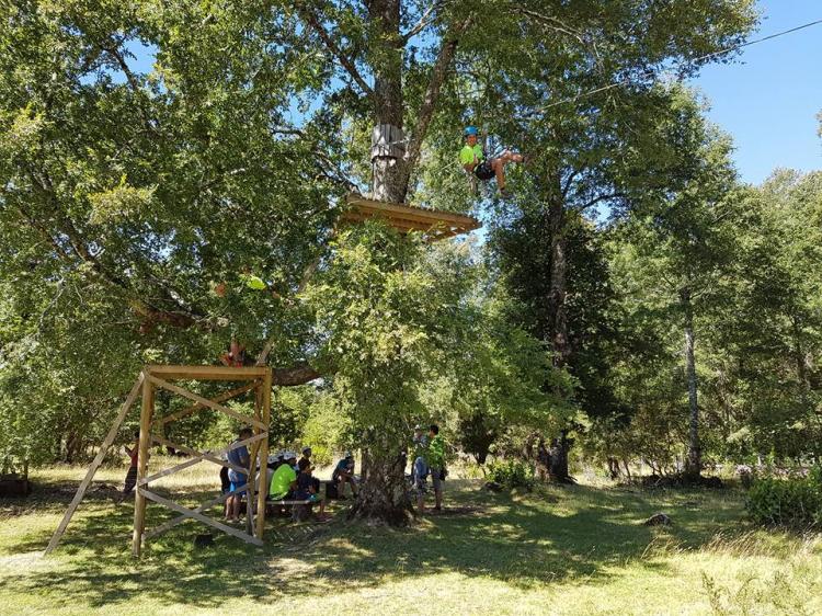 Fotografía 4 de Camping y Restaurant El Lleuque en Pucon, Araucania