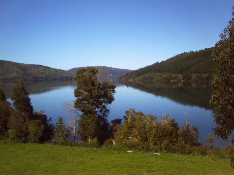 Fotografía 5 de Camping La Casa de Don Pedro Lleu Lleu en Contulmo, Bio Bio