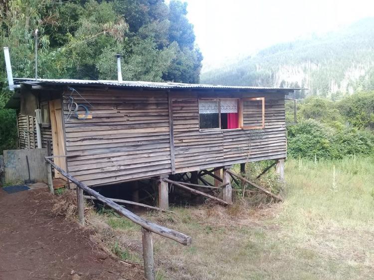 Fotografía 10 de Camping La Casa de Don Pedro Lleu Lleu en Contulmo, Bio Bio