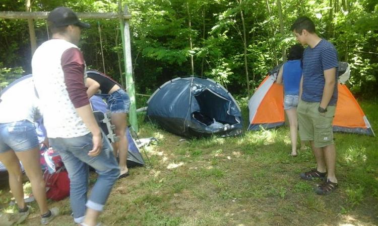 Fotografía 5 de Entre Aguas Camping en Longavi, Maule