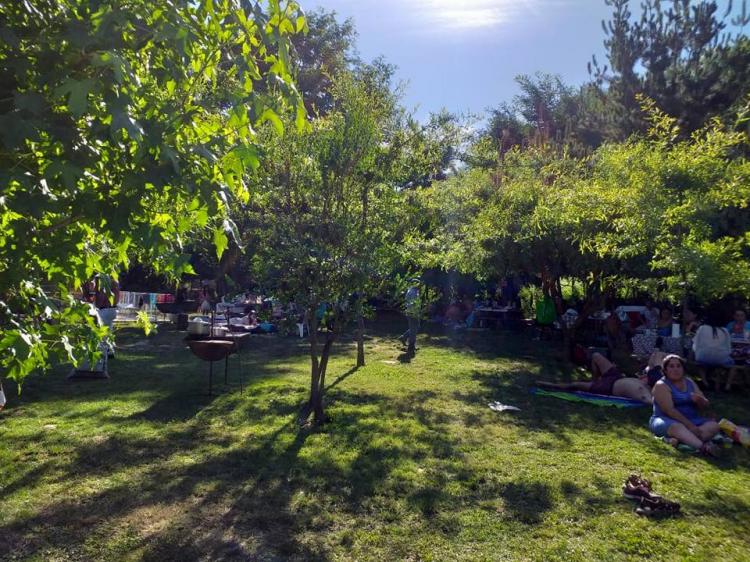 Fotografía 13 de Entre Aguas Camping en Longavi, Maule
