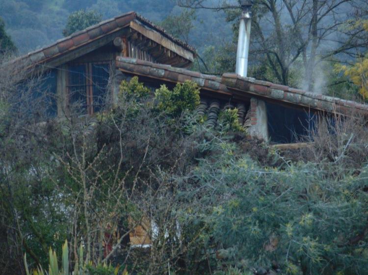 Fotografía 8 de Camping Valle Lo Mancilla en San Fernando, Ohiggins