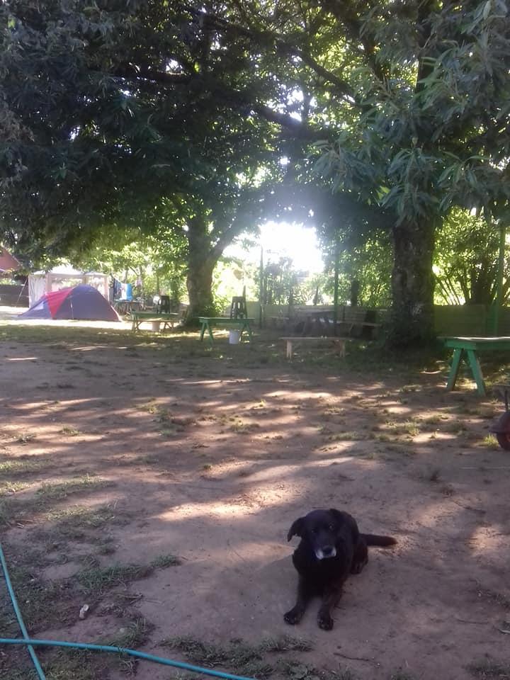 Fotografía 7 de Camping Renacer en Valdivia, Los Rios