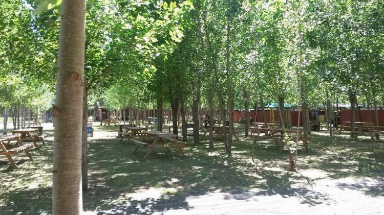Fotografía 5 de Camping Los Radales en Cabrero, Bio Bio