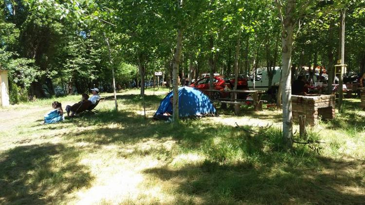 Fotografía 12 de Camping Los Radales en Cabrero, Bio Bio
