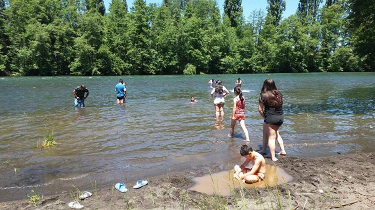 Fotografía 15 de Camping Los Radales en Cabrero, Bio Bio