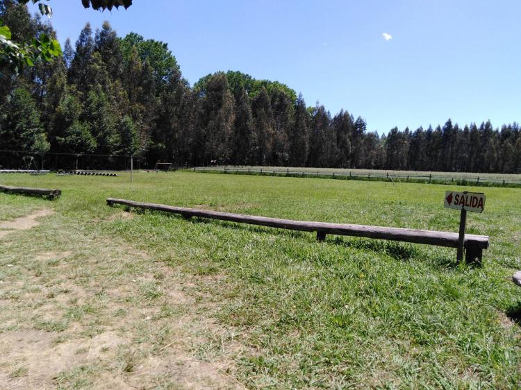 Fotografía 18 de Camping Los Radales en Cabrero, Bio Bio