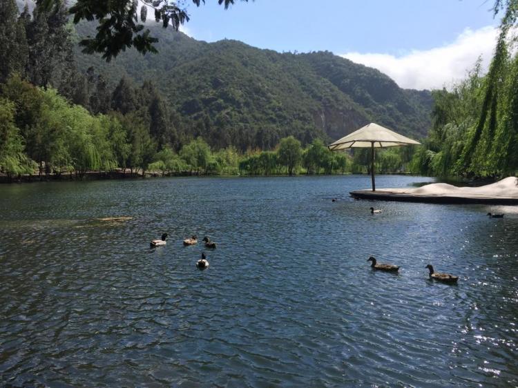 Fotografía 5 de Camping Complejo Turístico El Yacal en Molina, Maule
