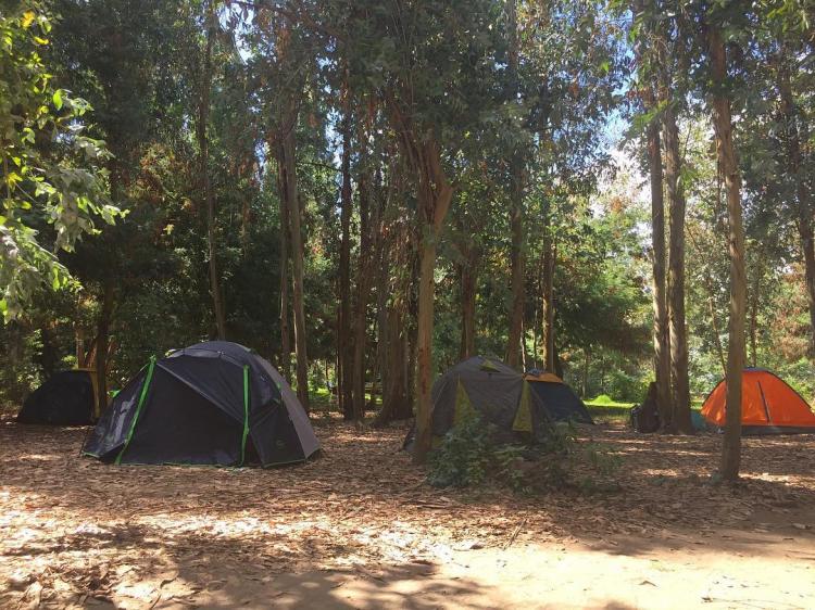 Fotografía 18 de Camping Complejo Turístico El Yacal en Molina, Maule
