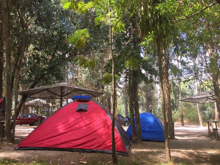 Fotografía 20 de Camping Complejo Turístico El Yacal en Molina, Maule