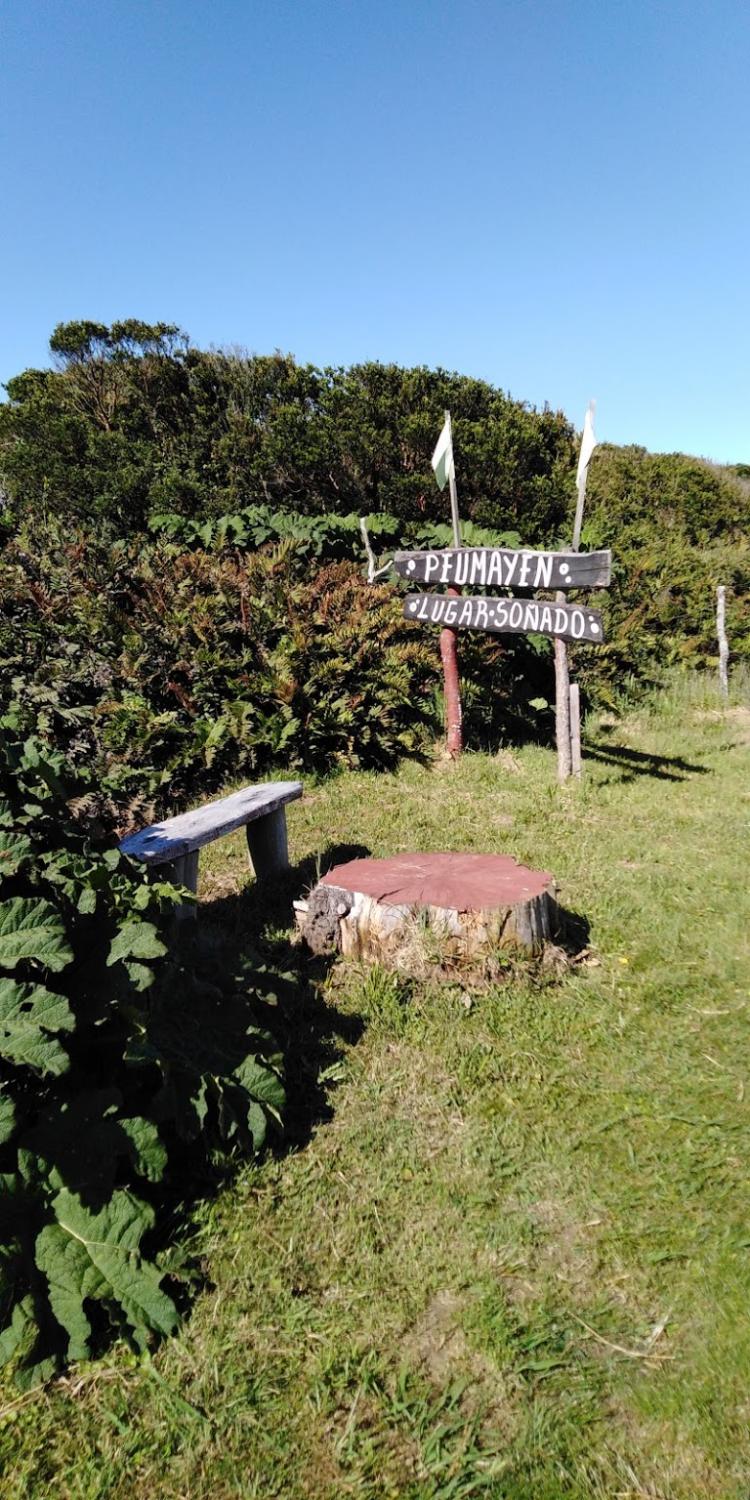 Fotografía 3 de Camping Don Mario en Valdivia, Los Rios