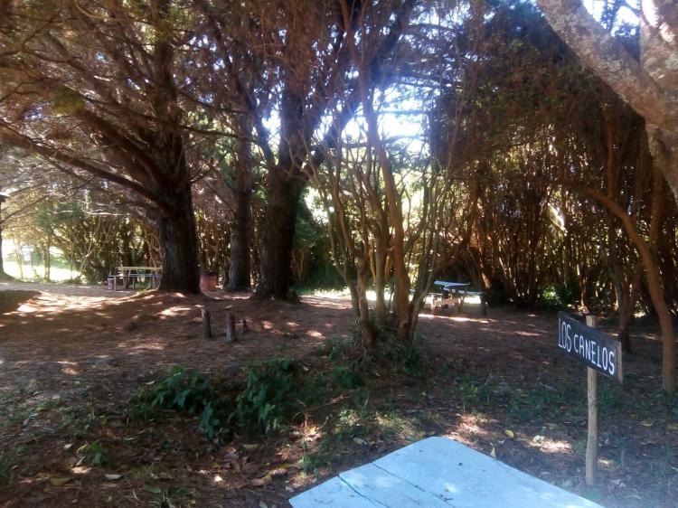 Fotografía 7 de Camping Don Mario en Valdivia, Los Rios