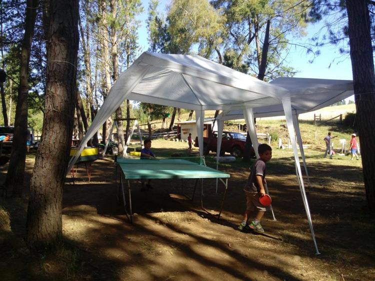 Fotografía 16 de Camping Don Nano en El Carmen, Bio Bio
