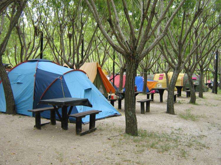 Fotografía 5 de Camping Los 3 Pinos en San Clemente, Maule