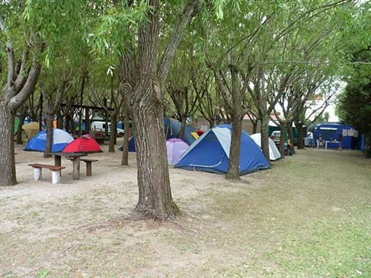Fotografía 13 de Camping Los 3 Pinos en San Clemente, Maule