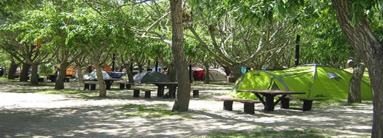 Fotografía 17 de Camping Los 3 Pinos en San Clemente, Maule
