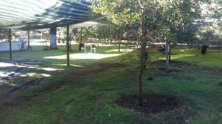 Fotografía 7 de Camping Los Pinos en San Clemente, Maule