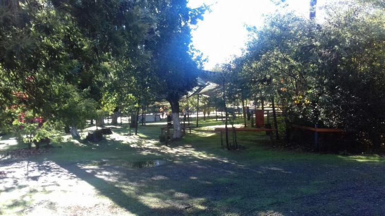 Fotografía 8 de Camping Los Pinos en San Clemente, Maule