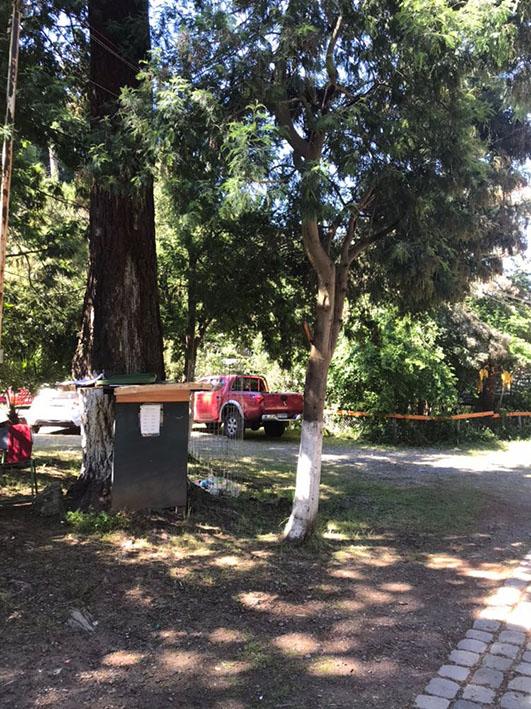 Fotografía 10 de Camping Los Pinos en San Clemente, Maule