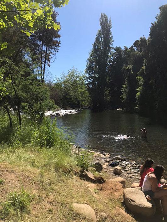 Fotografía 15 de Camping Los Pinos en San Clemente, Maule