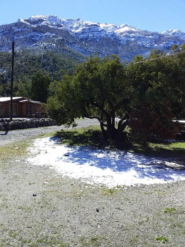 Fotografía 2 de Camping Las Palomas en Maule, Maule