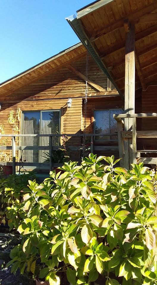 Fotografía 15 de Camping Las Palomas en Maule, Maule