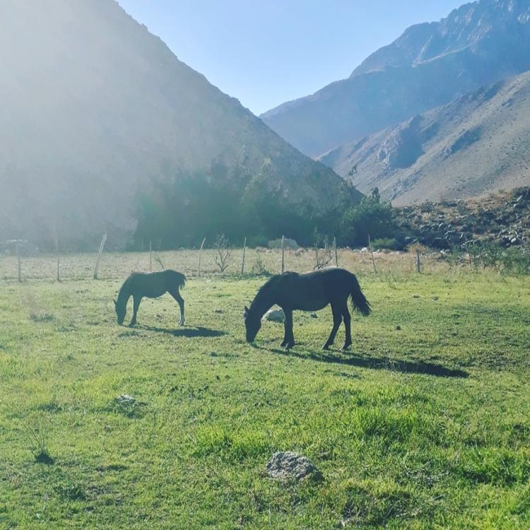 Fotografía 3 de Camping Cochiguaz (Cochiguaz) en Paihuano, Coquimbo