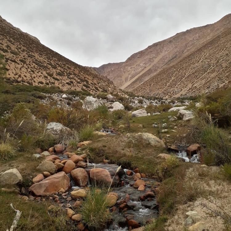 Fotografía 4 de Camping Cochiguaz (Cochiguaz) en Paihuano, Coquimbo