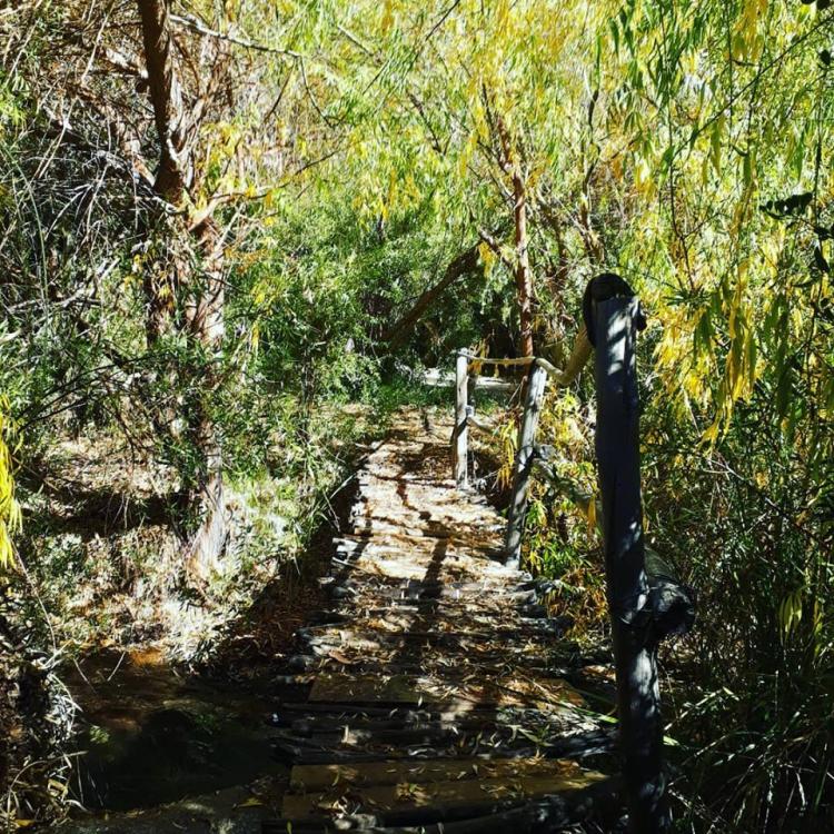 Fotografía 14 de Camping Cochiguaz (Cochiguaz) en Paihuano, Coquimbo
